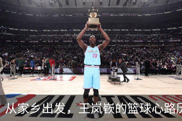 从家乡出发，王岚嵚的篮球心路历程