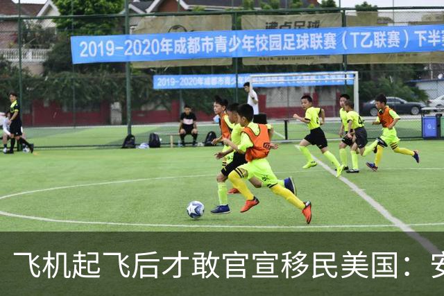 飞机起飞后才敢官宣移民美国：安踏前CEO徐阳的“体面告别”